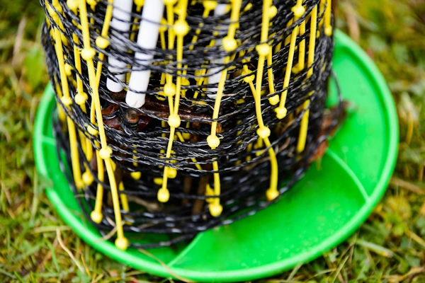 Nahaufnahme aufgewickeltes Netz mit Gleiter